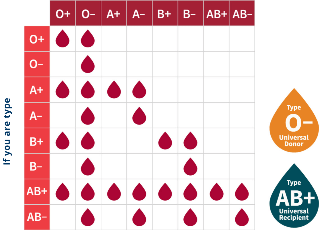 Blood Group - SYNLAB Nigeria